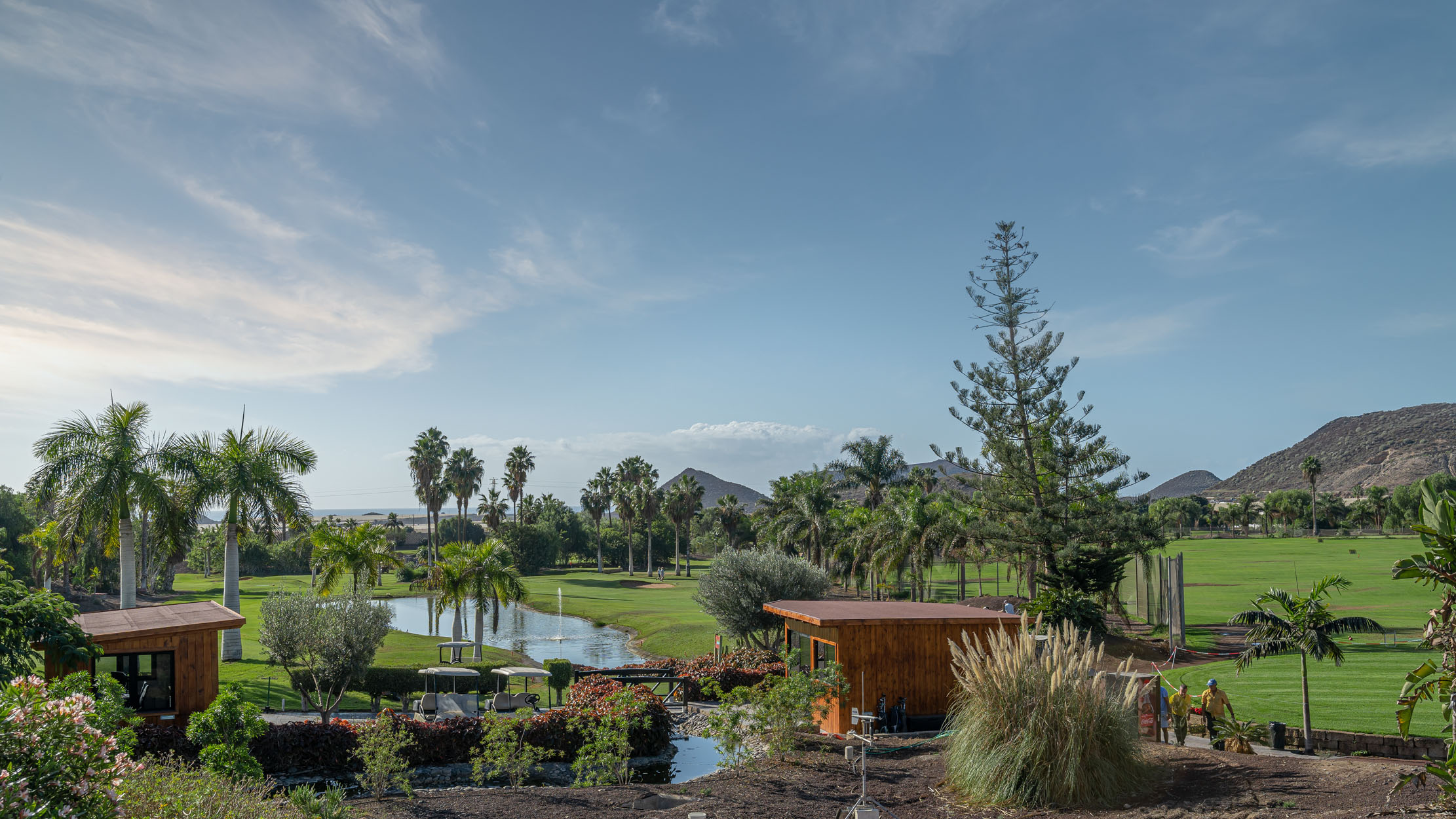 _DSC0470-1 - copia